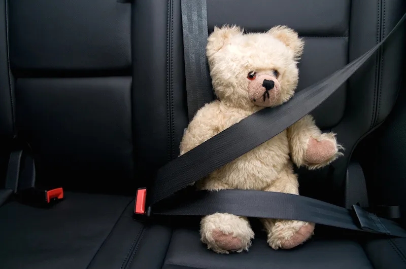 Seat belts are primarily made of nylon or polyester webbing
