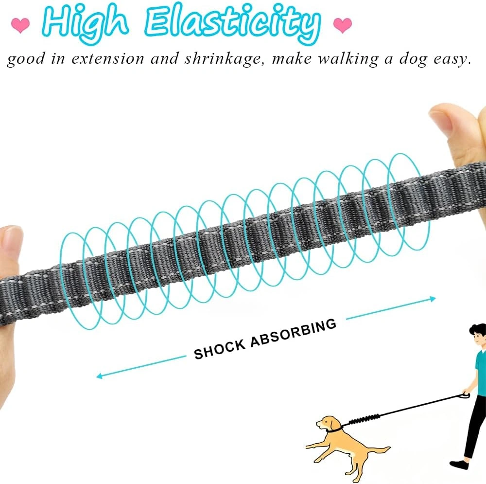 Reflective Bungee Dog Leash with Padded Handle