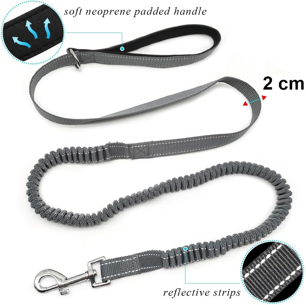 Reflective Bungee Dog Leash with Padded Handle