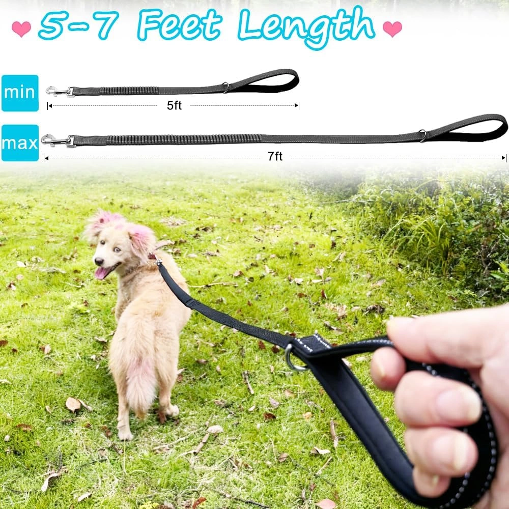 Reflective Bungee Dog Leash with Padded Handle