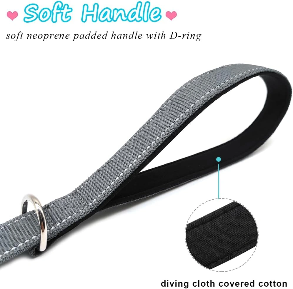 Reflective Bungee Dog Leash with Padded Handle